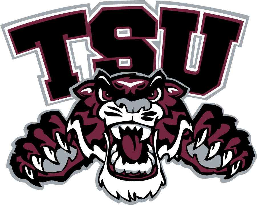 Texas Southern Tigers 1998-2018 Secondary Logo DIY iron on transfer (heat transfer)